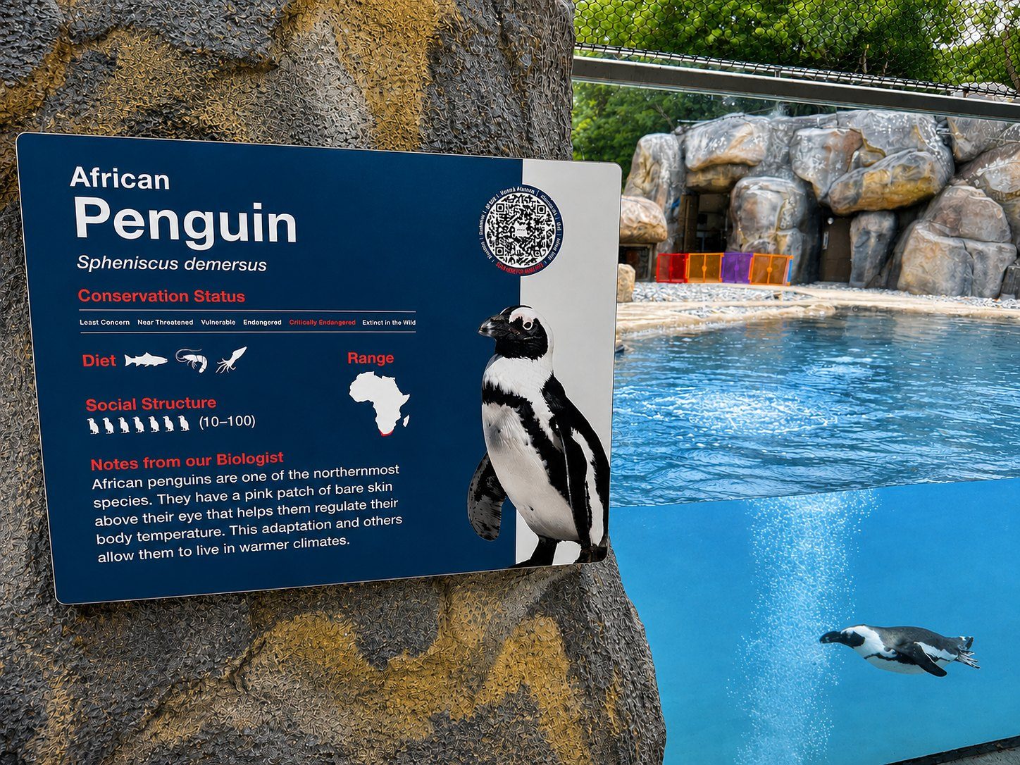 How Zoo New England and the NC Museum of Natural Sciences Made Exhibits More Accessible With CheQRboard