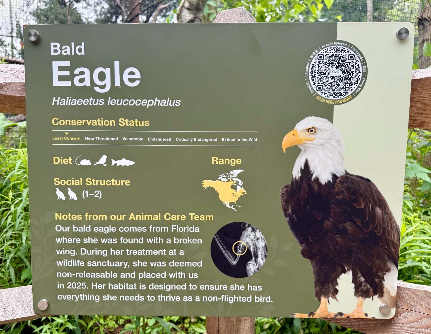 How Jacksonville Zoo and Zoo New England Are Turning Interpretive Signs Into Multilingual Guest Experiences