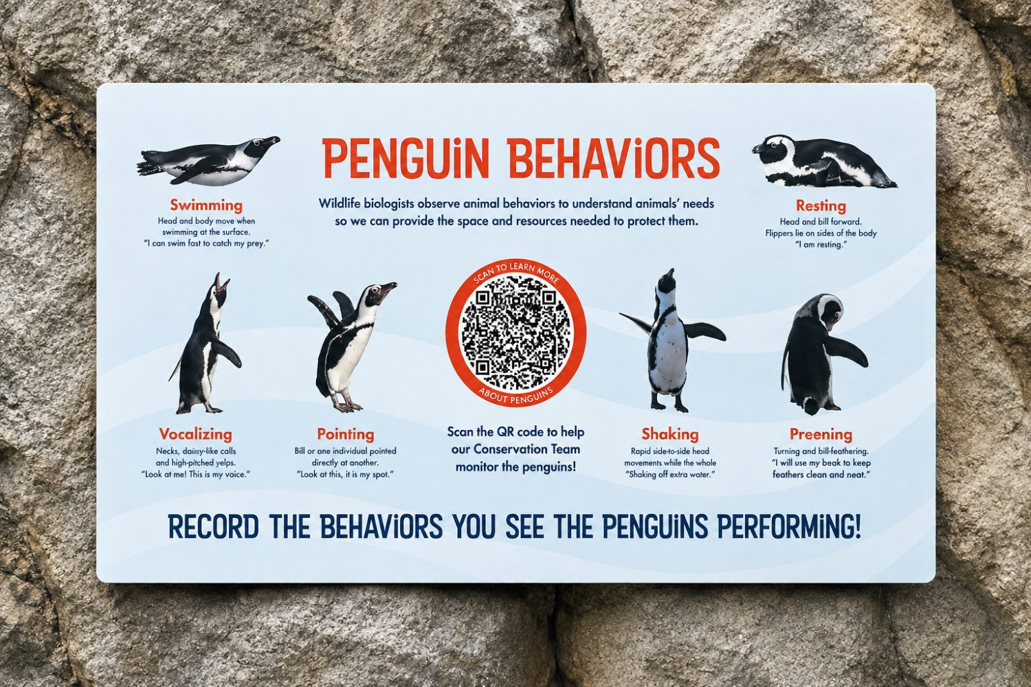 How Zoos Are Turning Guests Into Wildlife Researchers