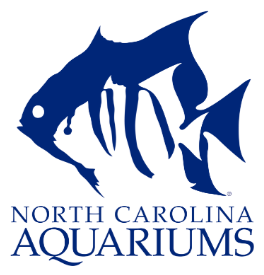 North Carolina Aquariums