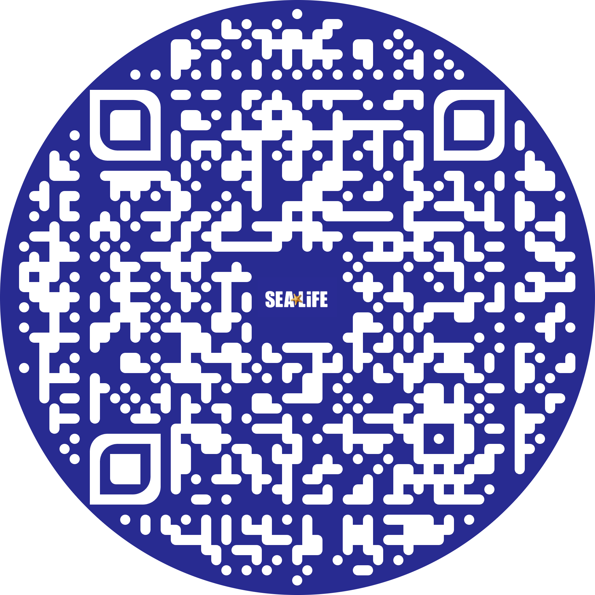 QR 1