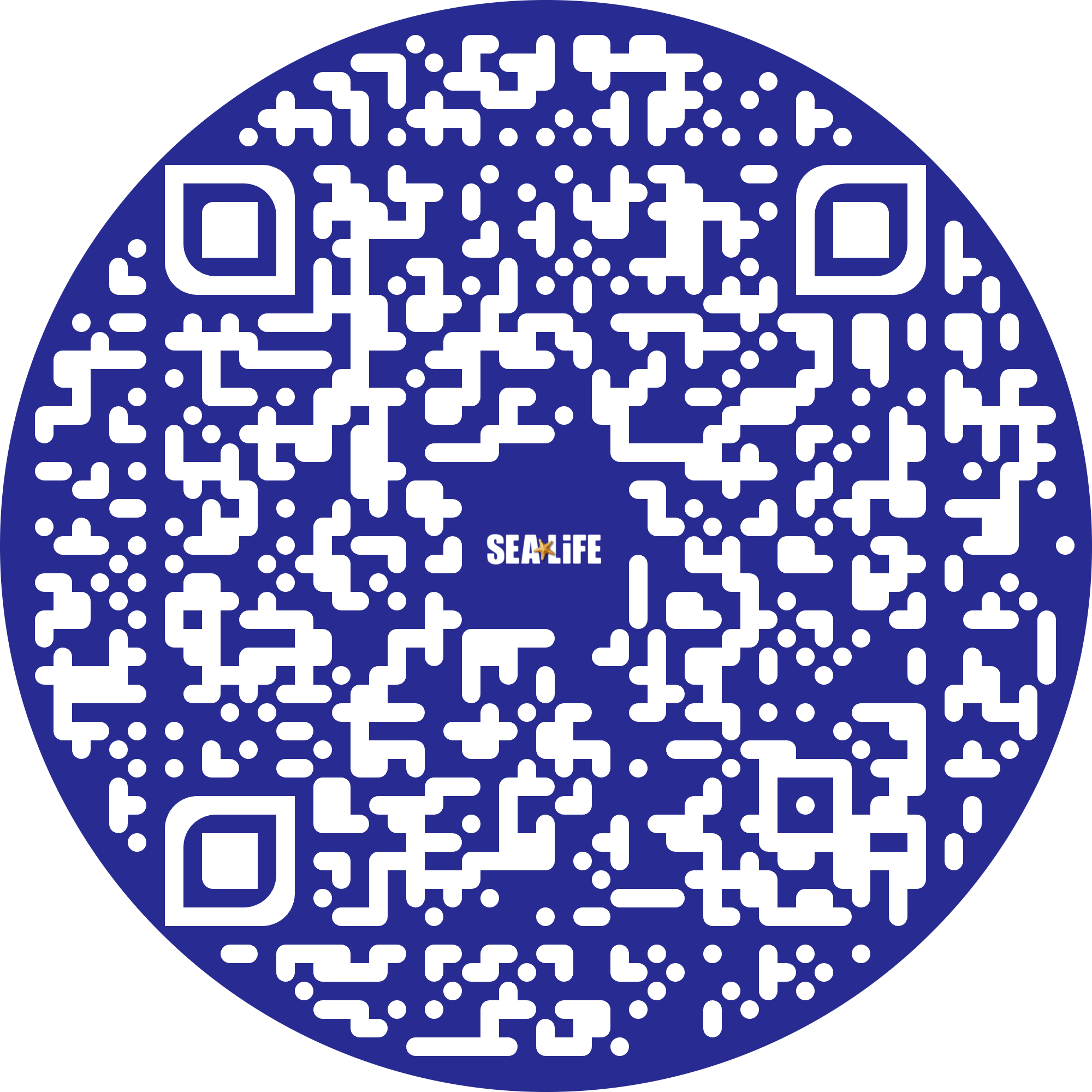 QR 3