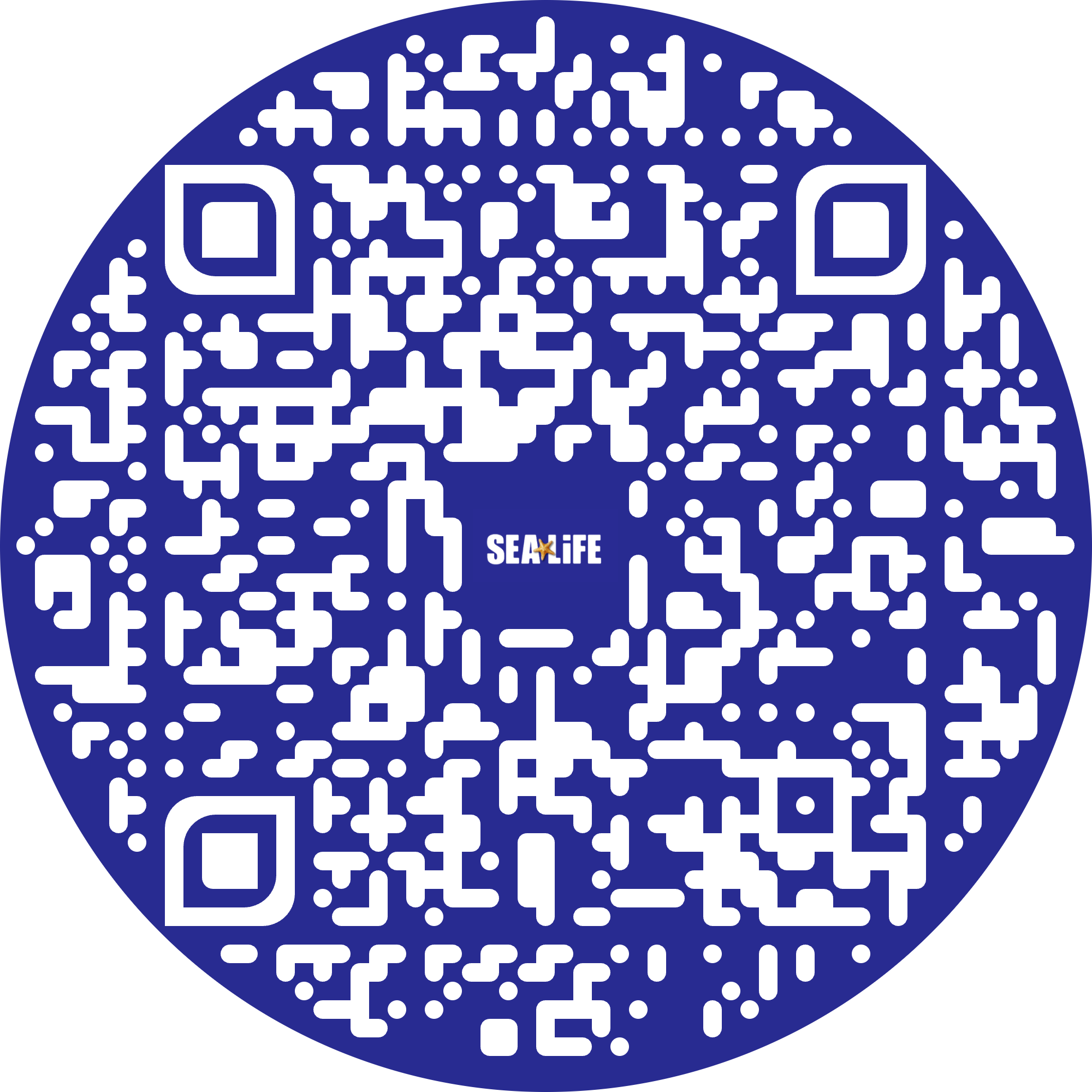 QR 4