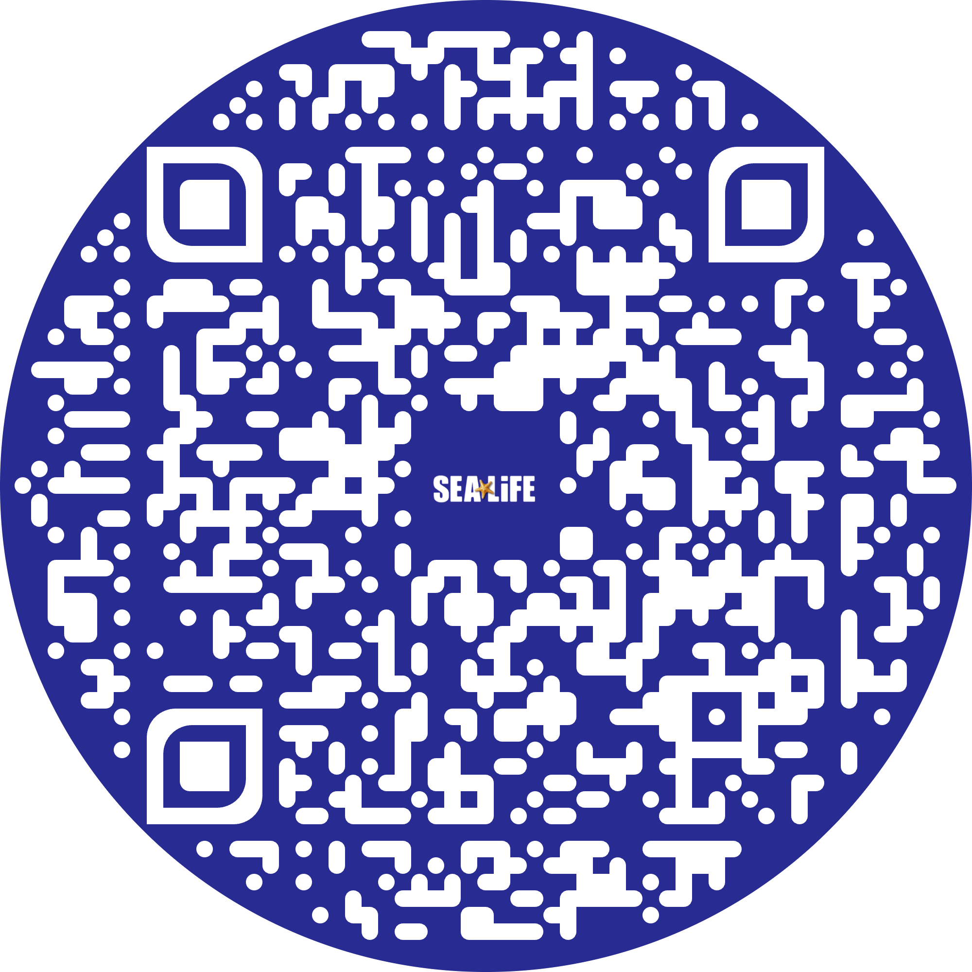 QR 5