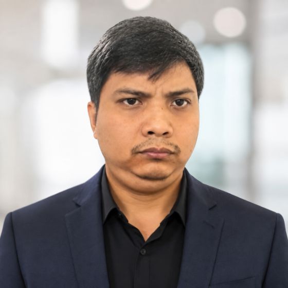 Software Developer